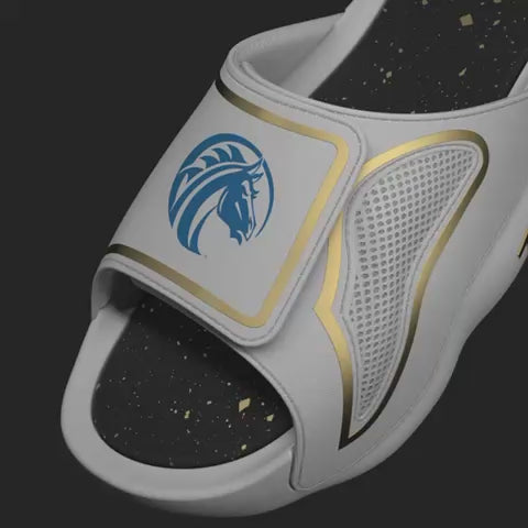 FAYETTVILLE STATE UNIVERSITY CUSTOM REIGN SLIDES ANIMATION